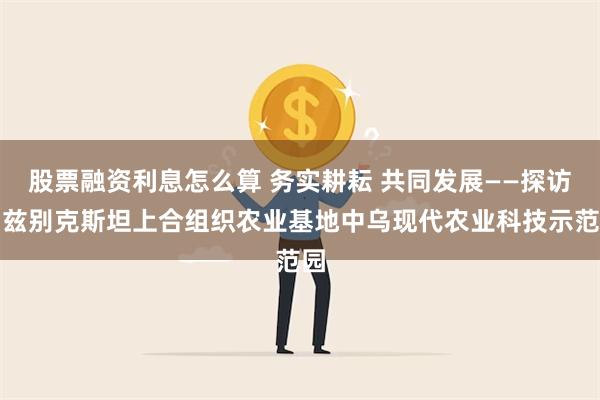 股票融资利息怎么算 务实耕耘 共同发展——探访乌兹别克斯坦上合组织农业基地中乌现代农业科技示范园