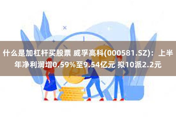 什么是加杠杆买股票 威孚高科(000581.SZ)：上半年净利润增0.59%至9.54亿元 拟10派2.2元