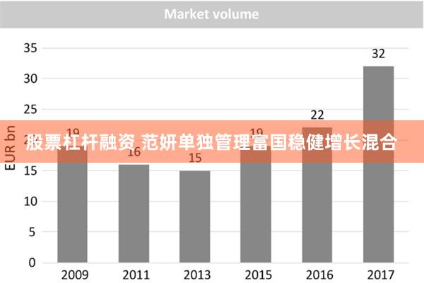 股票杠杆融资 范妍单独管理富国稳健增长混合