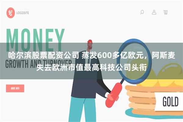 哈尔滨股票配资公司 蒸发600多亿欧元，阿斯麦失去欧洲市值最高科技公司头衔