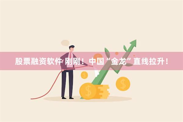 股票融资软件 刚刚！中国“金龙”直线拉升！