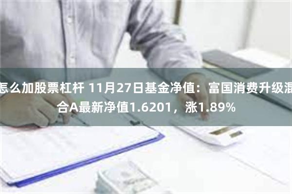 怎么加股票杠杆 11月27日基金净值：富国消费升级混合A最新净值1.6201，涨1.89%