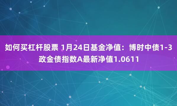 如何买杠杆股票 1月24日基金净值：博时中债1-3政金债指数A最新净值1.0611