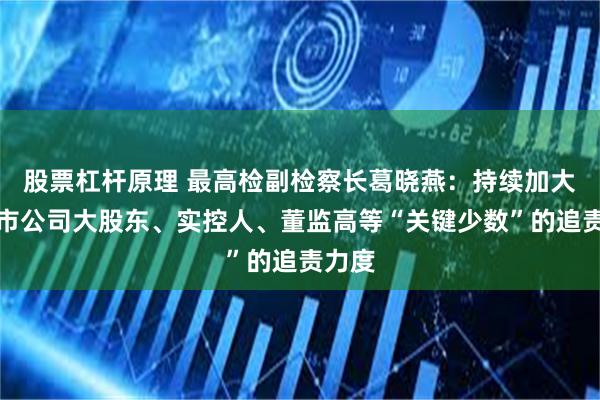 股票杠杆原理 最高检副检察长葛晓燕：持续加大对上市公司大股东、实控人、董监高等“关键少数”的追责力度