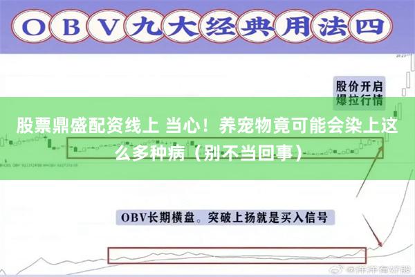 股票鼎盛配资线上 当心！养宠物竟可能会染上这么多种病（别不当回事）