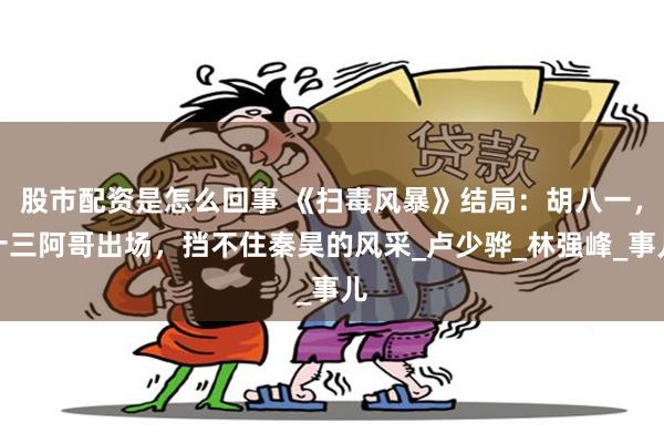   股市配资是怎么回事 《扫毒风暴》结局：胡八一，十三阿哥出场，挡不住秦昊的风采_卢少骅_林强峰_事儿