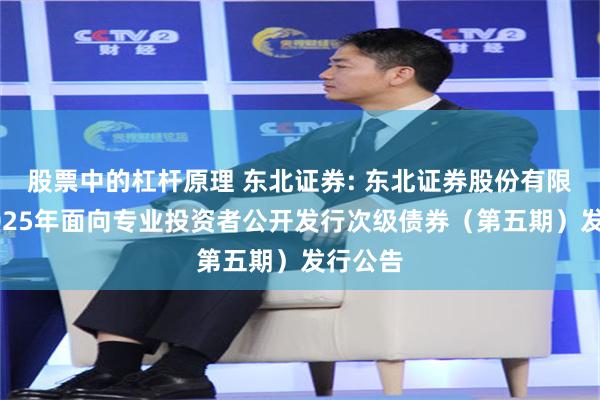   股票中的杠杆原理 东北证券: 东北证券股份有限公司2025年面向专业投资者公开发行次级债券（第五期）发行公告