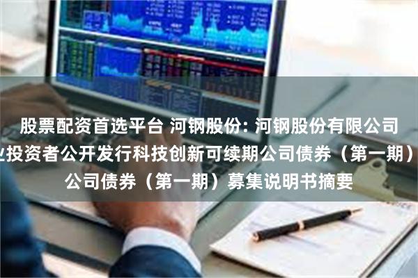   股票配资首选平台 河钢股份: 河钢股份有限公司2025年面向专业投资者公开发行科技创新可续期公司债券（第一期）募集说明书摘要